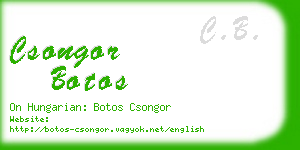 csongor botos business card